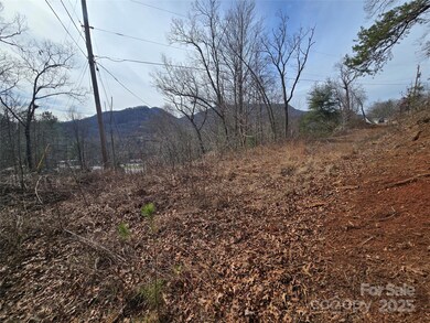 425 Crocus Ln, Dillsboro, NC 28779 - photo 6