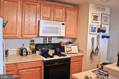 42220 Terrazzo Terrace unit 407, Stone Ridge, VA 20105 - photo 6