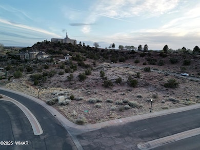 DJI_0778