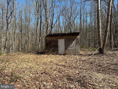 0 35 Acres Orchard Ln, Paw Paw, WV 25434 - photo 6