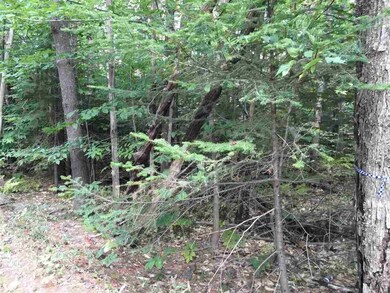 0 Jones Rd unit 4655497, Effingham, NH 03882 - photo 4