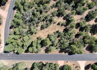 DJI_0342