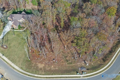 2 Watson Grande Way, Owens Cross Roads, AL 35763 - photo 3