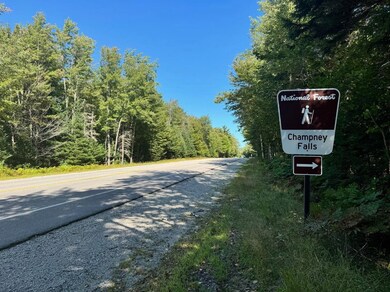 22 von Hippel Ln, Albany, NH 03818 - photo 2