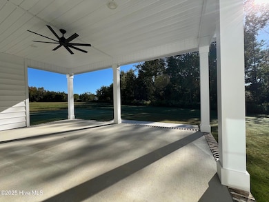 2855 Bates Branch Way, Grimesland, NC 27837 - photo 5