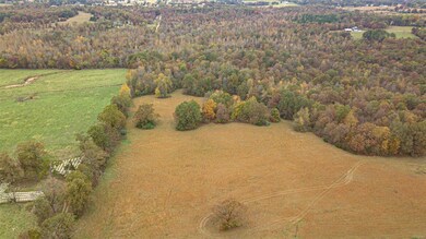 480 County Road 480, Poplar Bluff, MO 63901 - photo 5