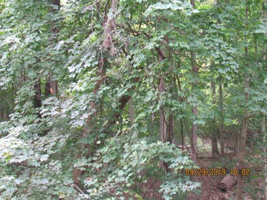 And....Woods