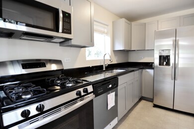 309 Locust St, Lake In the Hills, IL 60156 - photo 5