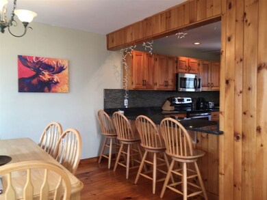 74 Spruce Grove Rd unit M263, Wilmington, VT 05363 - photo 7