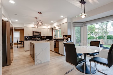 60 E Fabish Dr, Buffalo Grove, IL 60089 - photo 6