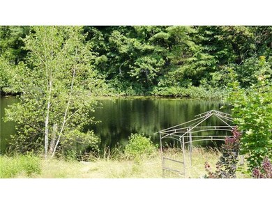 Other. Ossipee River in your backyatd!