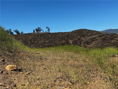 0 Reid St unit IV25125557, Lake Elsinore, CA 92530 - photo 3