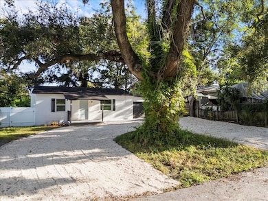 704 E Wilma St, Tampa, FL 33612 - photo 3