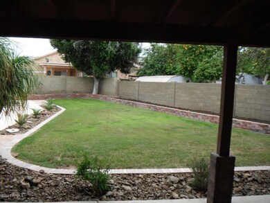 back yard grass.jpg