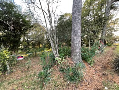 0 Tallant St, Houston, TX 77076 - photo 4