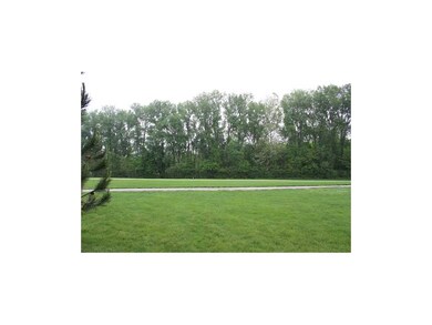 Yard.