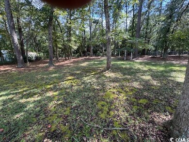 6569 Shawn Ln, Conway, SC 29527 - photo 3