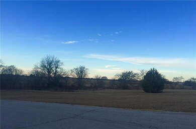 Lot 16 Coyote Creek Dr, Gordonville, TX 76245 - photo 5