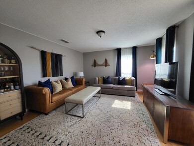 1401 N Orange St, Fredericksburg, TX 78624 - photo 3