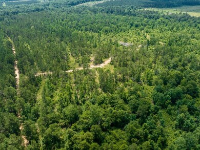 3486 Homer Alto Rd, Pollok, TX 75969 - photo 4