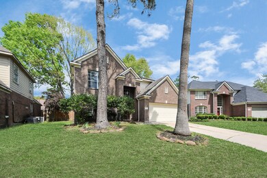 Front Yard. Nature palms and trees