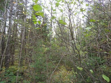 ON Cth T, Tripoli, WI 54564 - photo 4