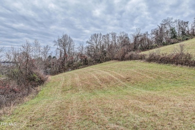 Tbd Wallace Pike, Bristol, VA 24202 - photo 6