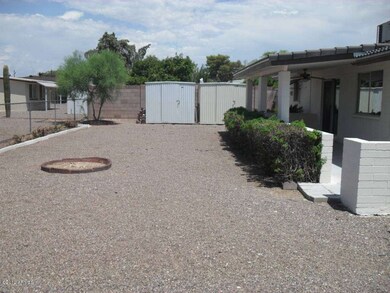 Back yard