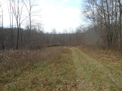 24070 Us Highway 52, Laurel, IN 47024 - photo 4