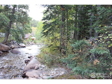 223 Riverside Dr, Lyons, CO 80540 - photo 7