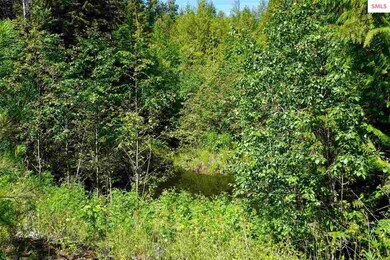 721 Wood View Rd, Sandpoint, ID 83864 - photo 6