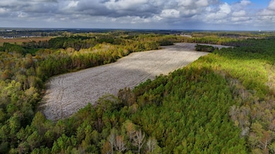 7881 Sinkhole Rd, Statesboro, GA 30458 - photo 3