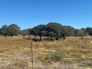 9288 Sutton County Road 406, Sonora, TX 76950 - photo 2