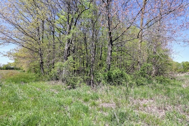 VL, Grand Junction, MI 49056 - photo 7