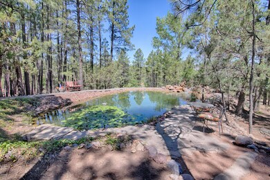 4483 S 24th St, Show Low, AZ 85901 - photo 6