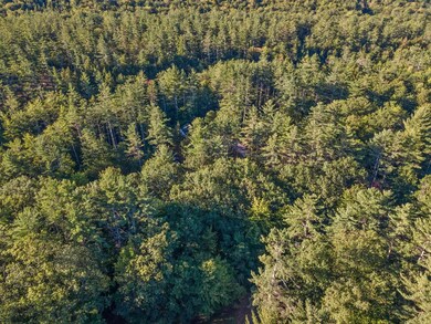 000 Gilford Ave, Rumney, NH 03266 - photo 5