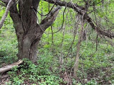 82 Sutton Rd, Webster, MA 01570 - photo 5