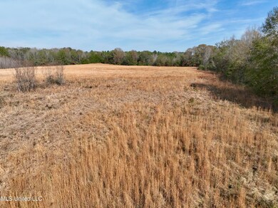 0000 Pisgah Bottom Rd, Canton, MS 39046 - photo 5