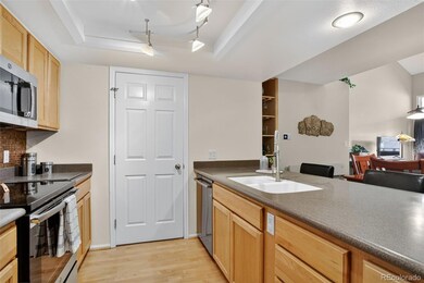 23660 Pondview Place unit E, Golden, CO 80401 - photo 6