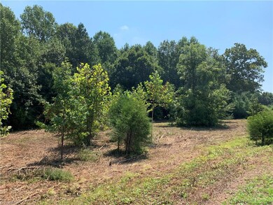 00 Old Mill Ford Trail, Asheboro, NC 27205 - photo 4