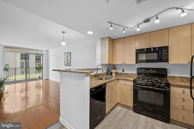 The Crescent unit 401, Silver Spring, MD 20910 - photo 2