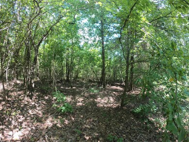 View of local wilderness