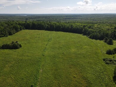 dji_fly_20240613_091610_160_171828459334