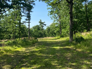 291 Wildwood Ln, Marshall, AR 72650 - photo 5