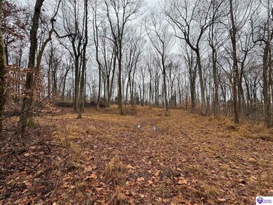 Lot 1 Vinson Rd, Brandenburg, KY 40108 - photo 5