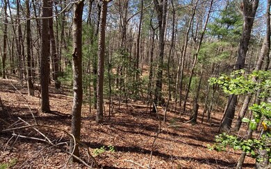 0 Hiawassee Ct unit 323830, Ellijay, GA 30540 - photo 3