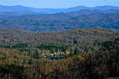 SPRING IN THE MTN. VIEW FROM PORCH.