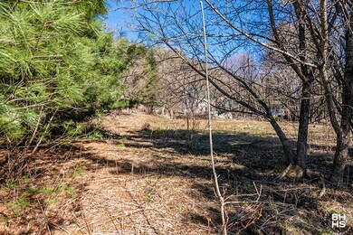 LotOnGrandviewInSaranacLake_Lot_Wooded