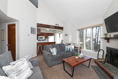 463 Three Ridges Condos, Wintergreen, VA 22967 - photo 2