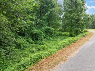 Lot 5 Jason Hollow Rd, Cedar Grove, TN 38321 - photo 6